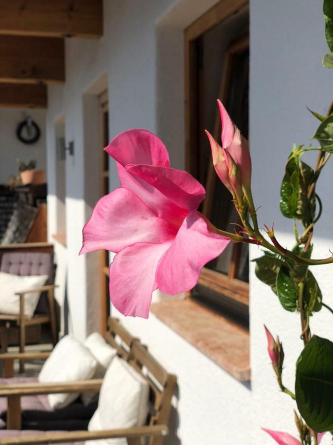 Apartament Alpbach 646 Zewnętrze zdjęcie