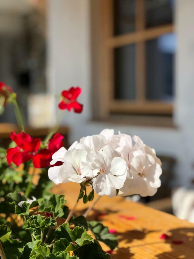 Apartament Alpbach 646 Zewnętrze zdjęcie